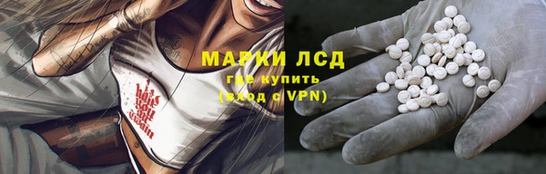 PSILOCYBIN Остров