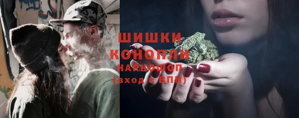 молекула духа Пестово