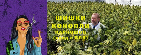 молекула духа Пестово