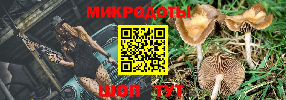 Псилоцибиновые грибы Magic Shrooms  Балаково  Псилоцибиновые грибы GOLDEN TEACHER 