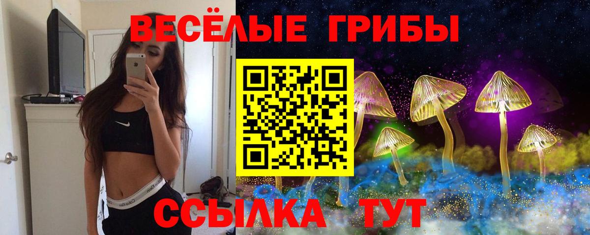 Псилоцибиновые грибы MAGIC MUSHROOMS Балаково