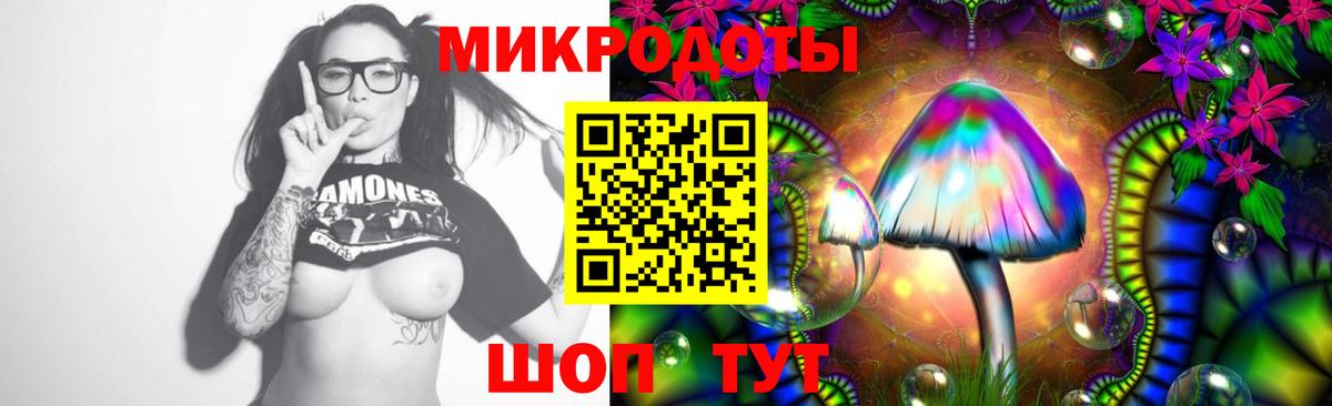 Псилоцибиновые грибы Psilocybe Балаково
