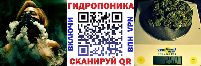 Шишки марихуана гибрид  где купить наркоту  Балаково 